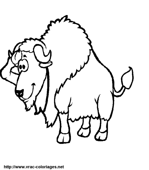 Dessin #12441 - dessin de bison a imprimer