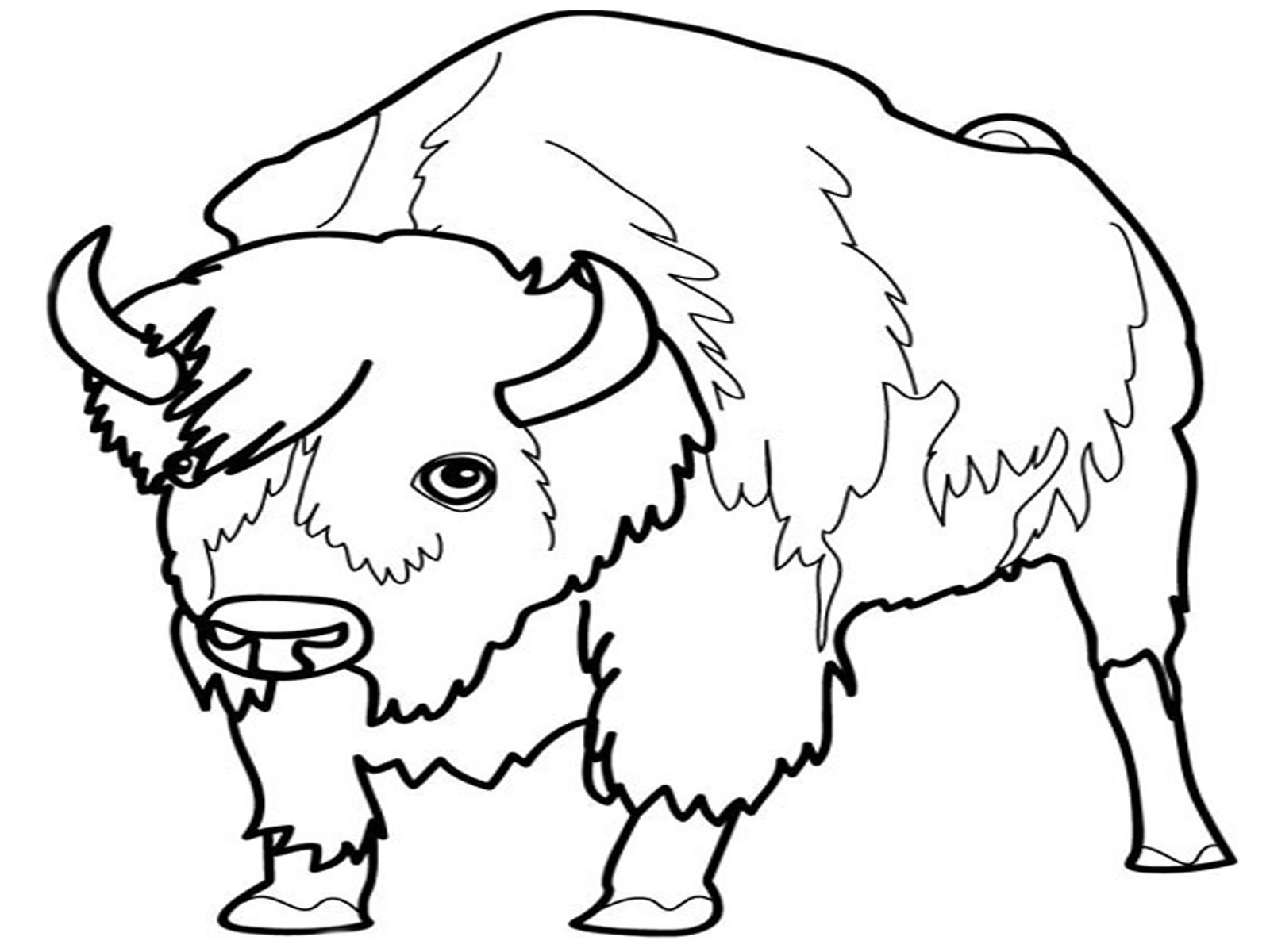 Dessin #12457 - coloriage bison gratuit