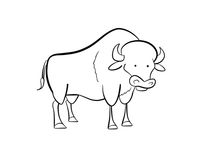 Dessin #12473 - dessin gratuit bison à imprimer