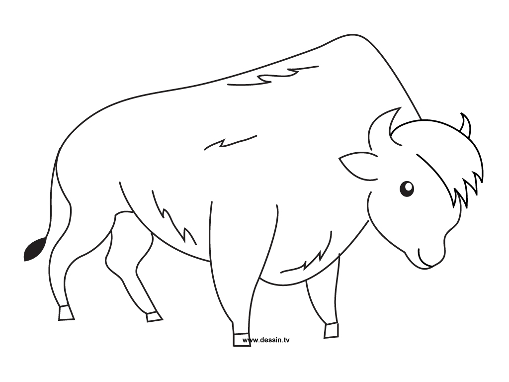 Dessin #12480 - Une belle image de bison à imprimer
