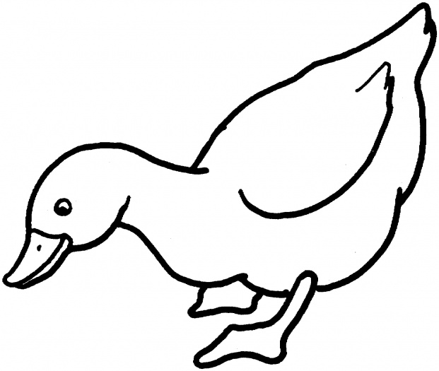 Dessin #12548 - dessin de canard