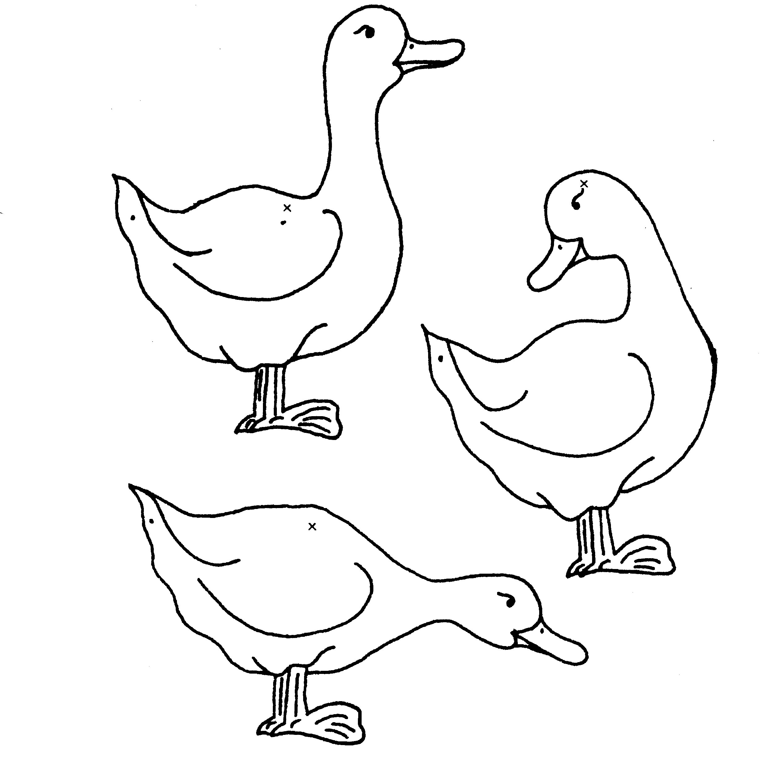 Dessin #12549 - Un beau coloriage de canard à imprimer et colorier