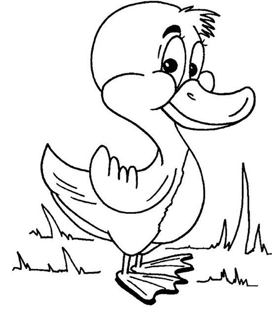 Dessin #12551 - beau dessin de canard à colorier pour t'amuser