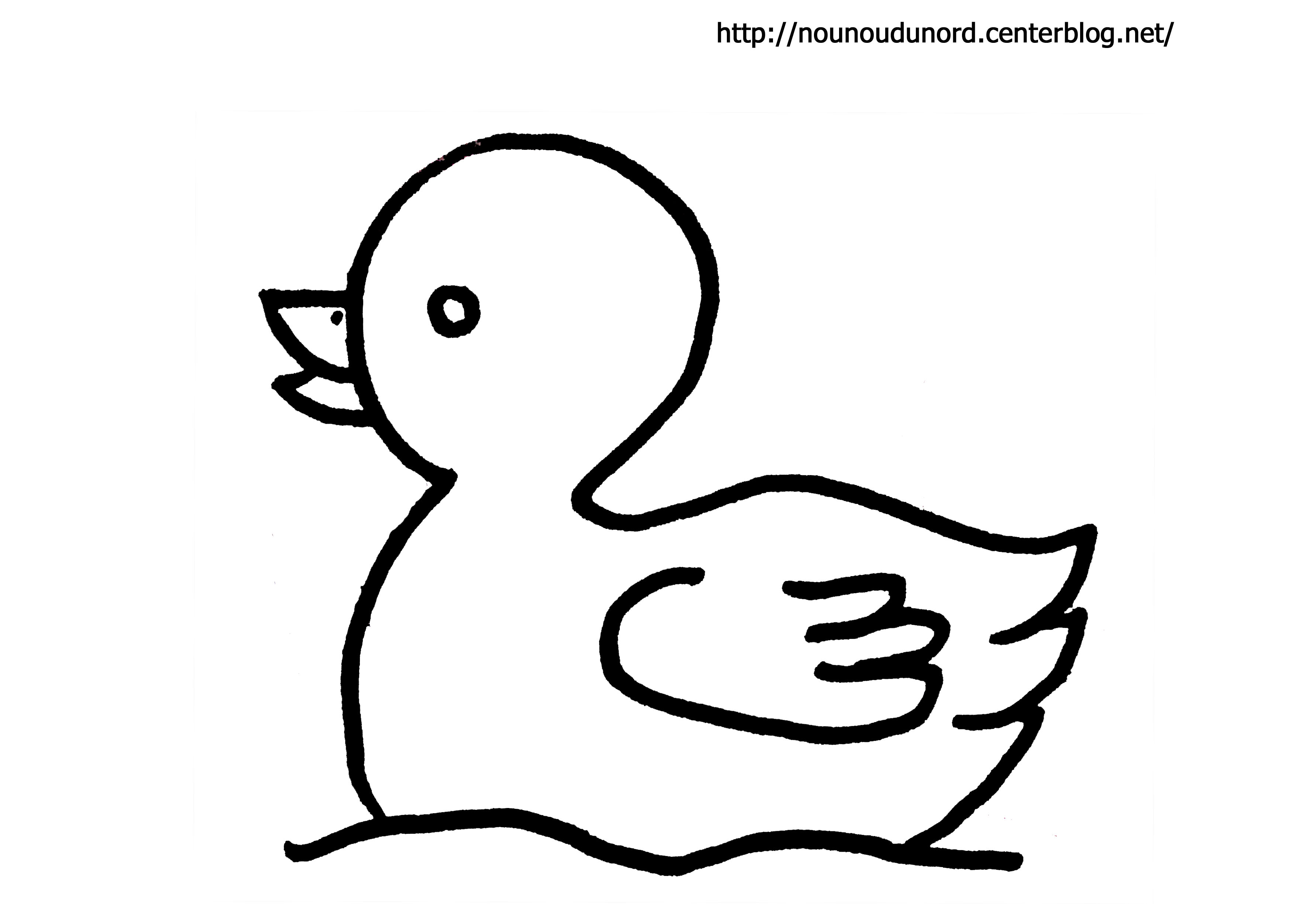 coloriage canard dessiné