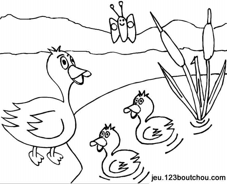 Dessin #12560 - dessin de canard gratuit à imprimer et colorier