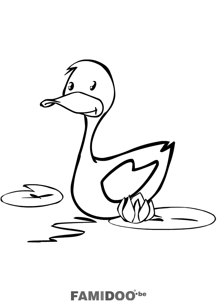Coloriage De Canard A Imprimer