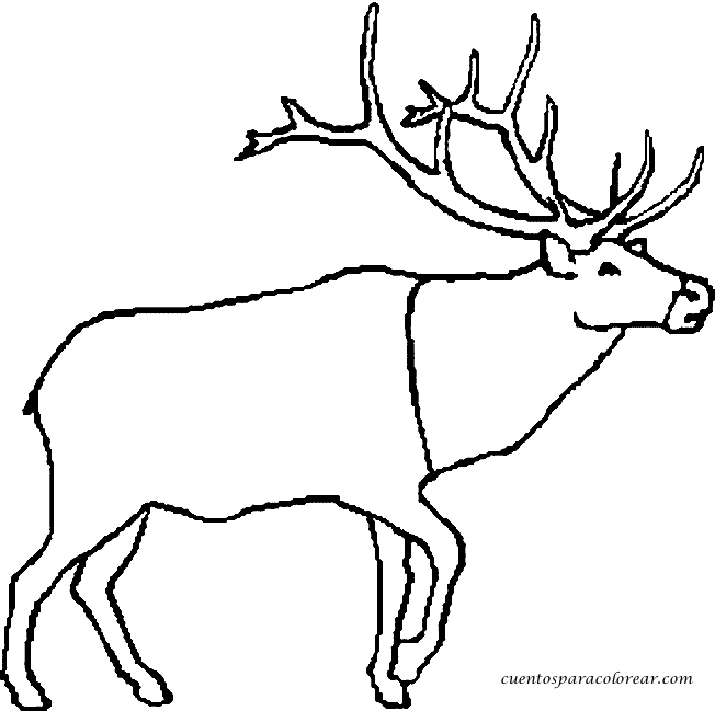 Dessin #12591 - dessin de caribou a colorier et imprimer