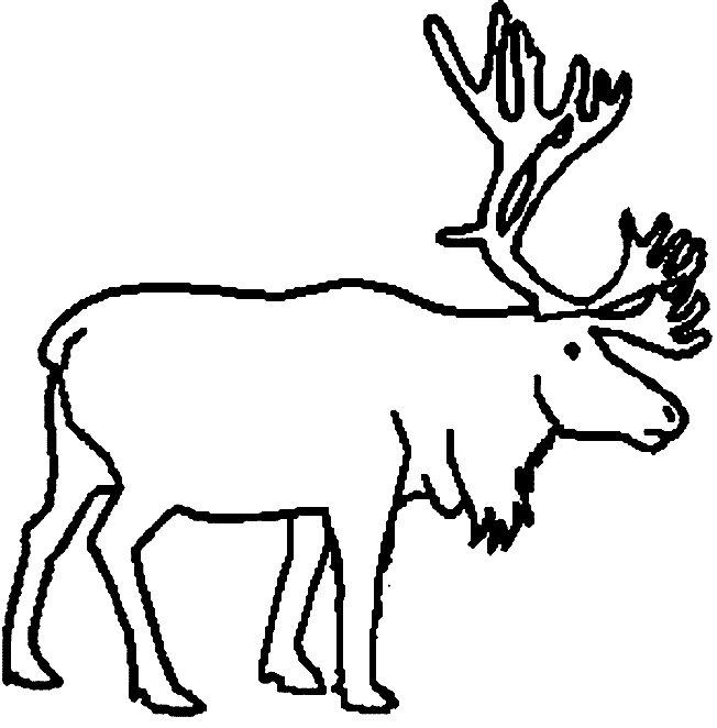 Dessin #12605 - dessin de caribou