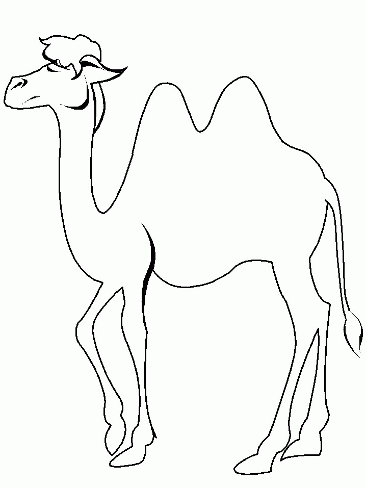 Dessin #12609 - Coloriage chameau
