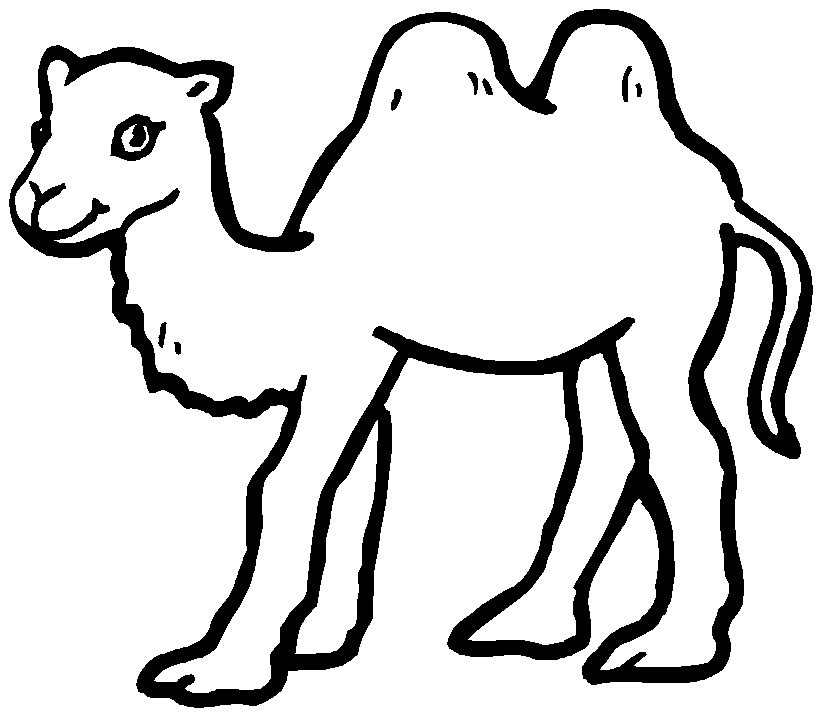 Dessin #12612 - Beau dessin de chameau à colorier pour t'amuser