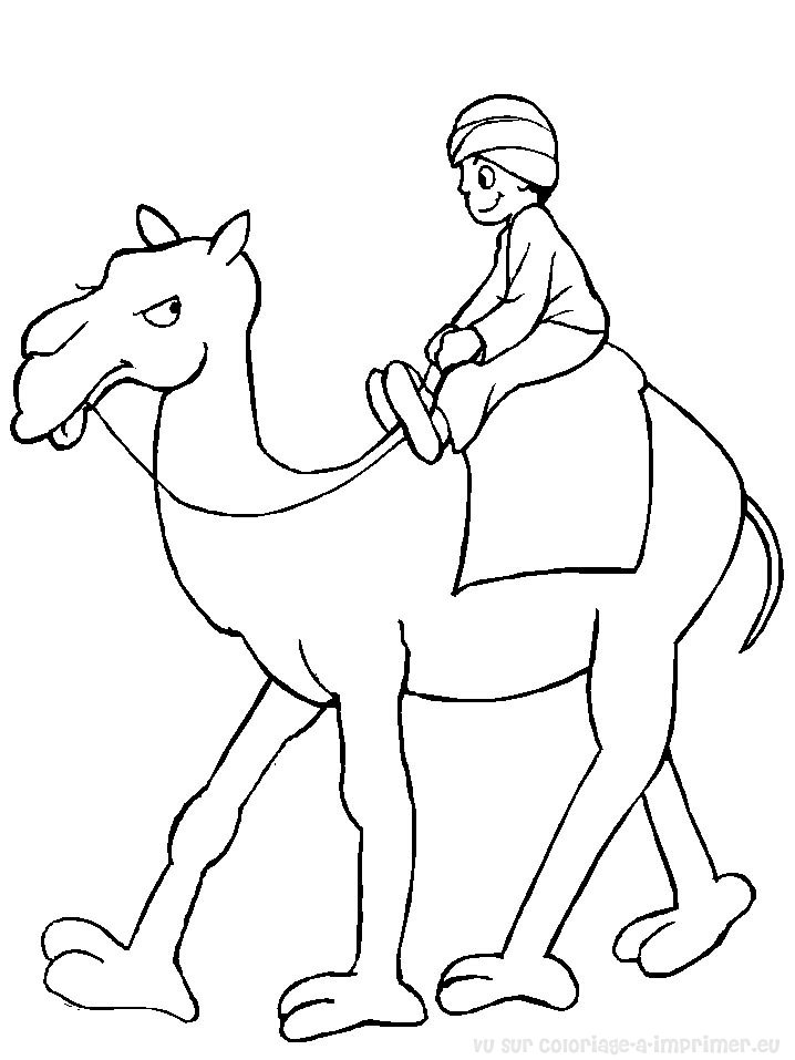 Dessin #12613 - Dessin de chameau