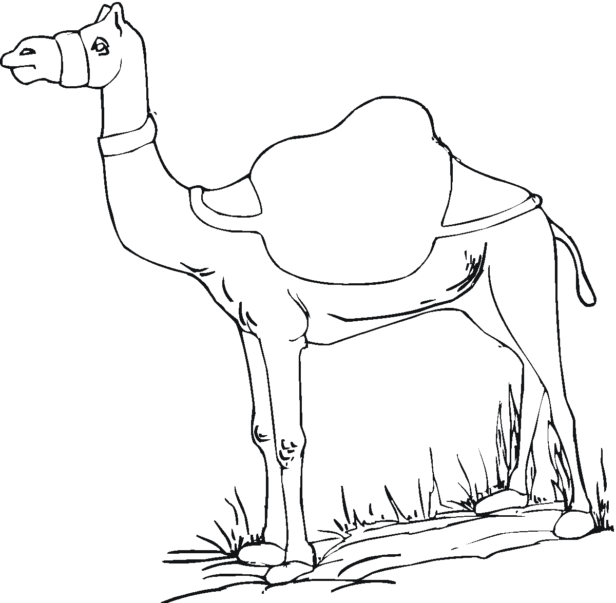 Dessin #12614 - dessin gratuit chameau à imprimer