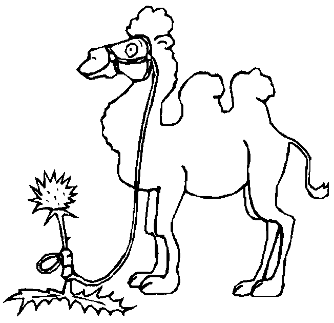 Dessin #12626 - dessin de chameau à colorier