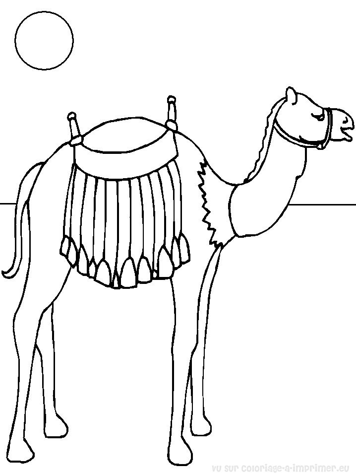 Dessin #12627 - Activité de coloriage chameau