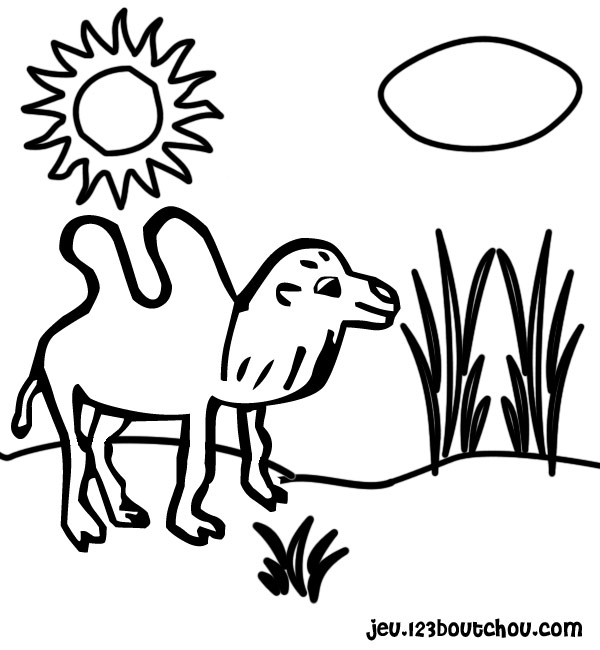 Dessin #12629 - une belle image de chameau à colorier et imprimer - Pour enfants