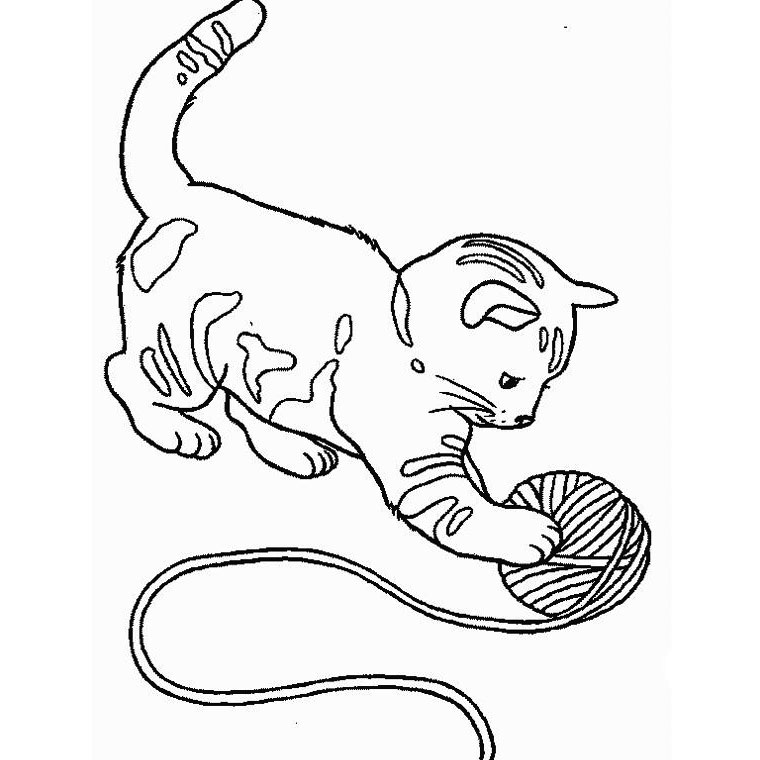 Coloriage De Chat A Colorier Sur Ordinateur