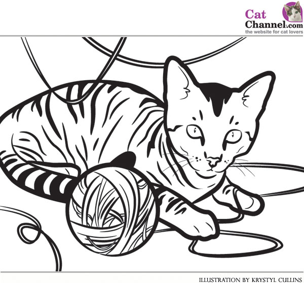 Dessin gratuit chat a imprimer et colorier