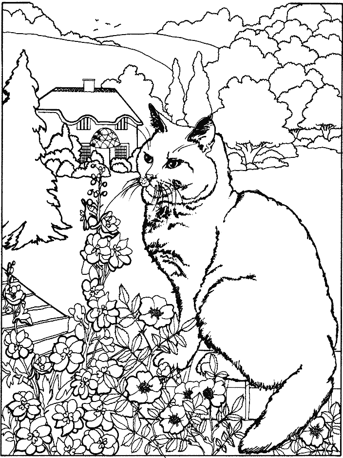 260 dessins de coloriage chat à imprimer sur LaGuerche.com  Page 24