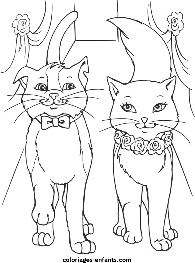 Coloriage chat