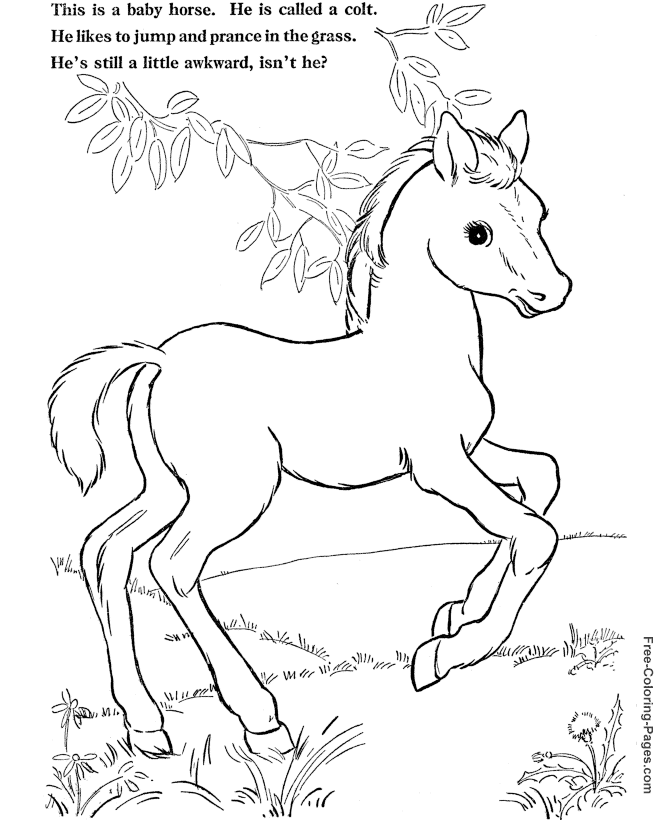 Coloriage de cheval à colorier