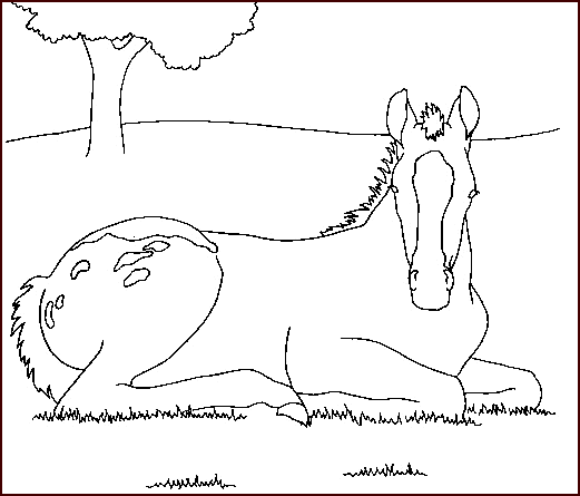 Image de cheval a colorier