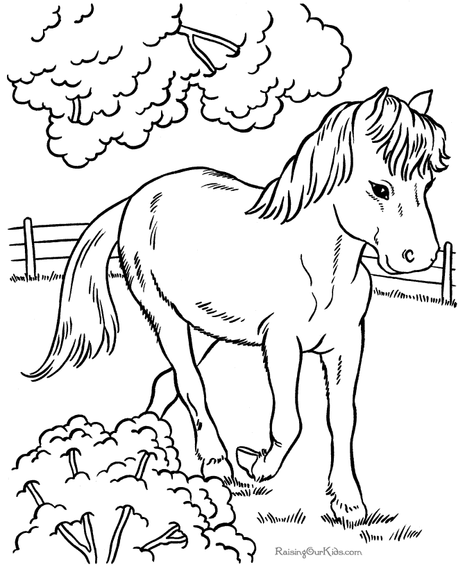 Coloriage de cheval imprimer et colorier