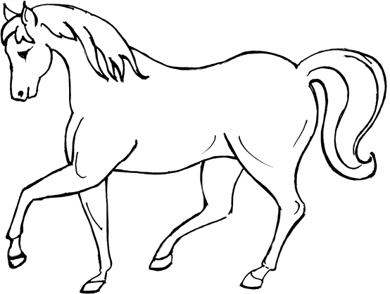 Image de cheval a colorier