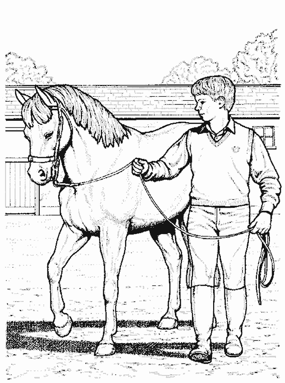 Coloriage de cheval gratuit à imprimer et colorier