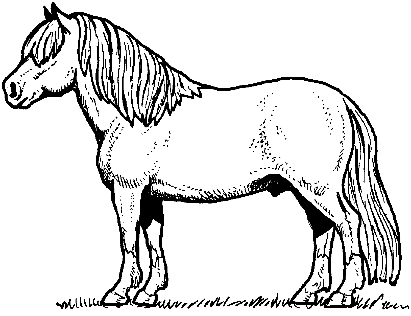 296 dessins de coloriage cheval à imprimer sur LaGuerche.com - Page 10