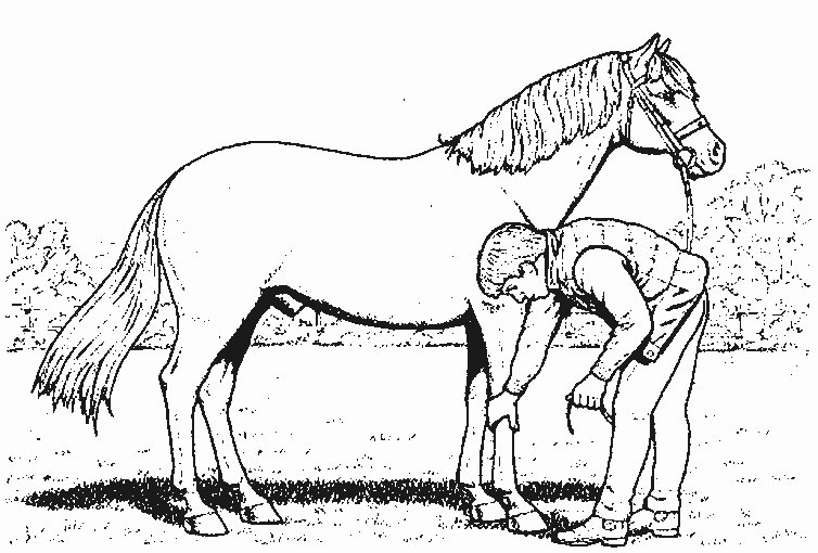 Jeux de coloriage cheval à colorier et imprimer