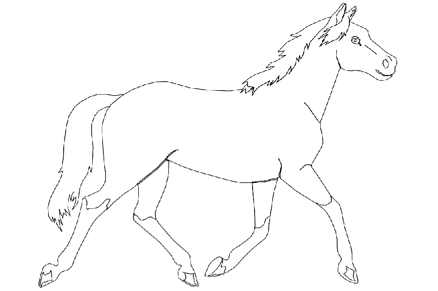 Coloriage de cheval 