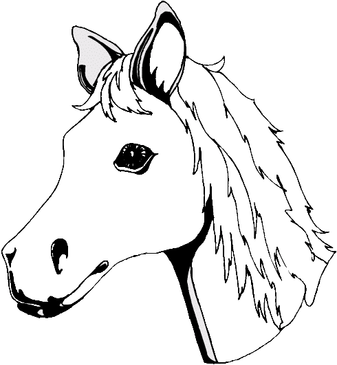 Coloriage de cheval