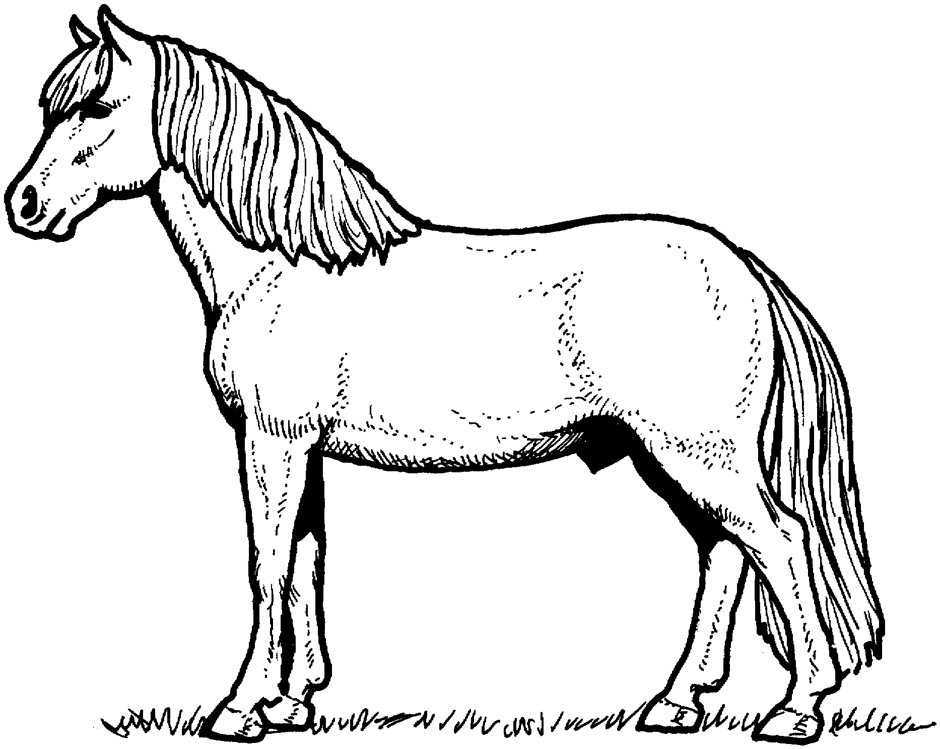 Coloriage de cheval à colorier