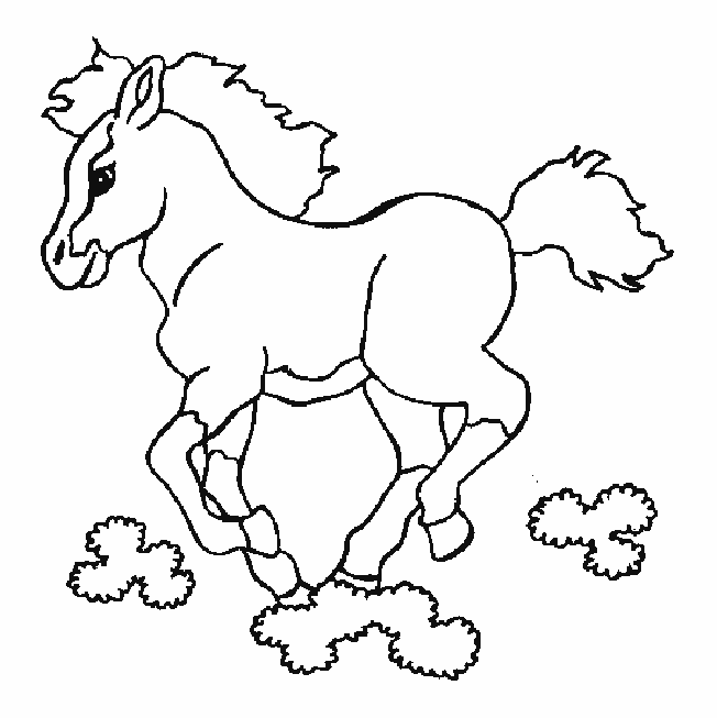Coloriage de cheval imprimer et colorier