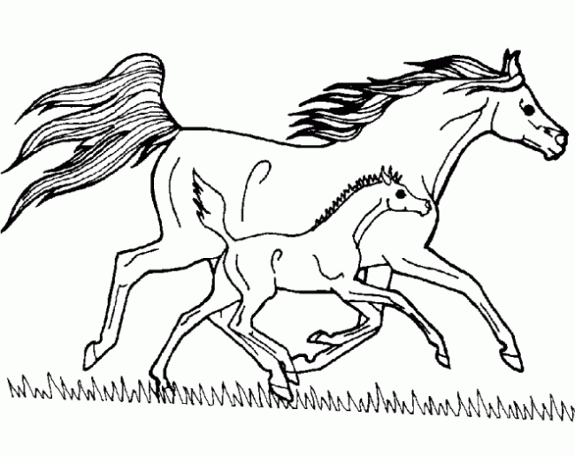 coloriage chevaux a imprimer - Coloriages CHEVAL 63 coloriages gratuits Jedessine 