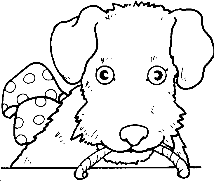Coloriage de chien gratuit à imprimer et colorier