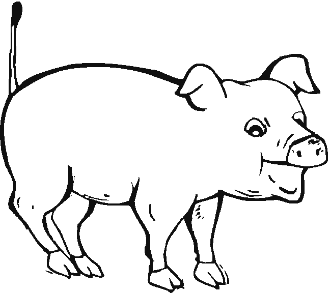 Dessin #12776 - Dessin de cochon à imprimer