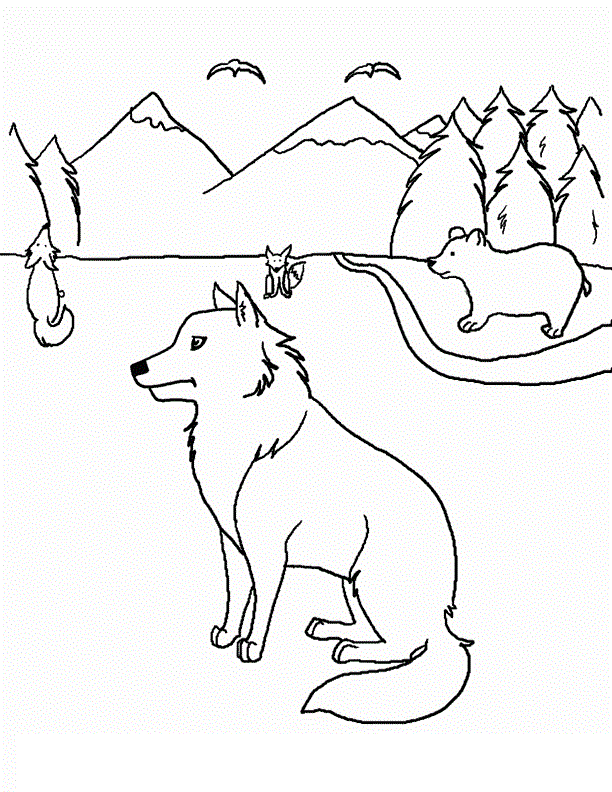 Dessin #12835 - Dessin coyote à colorier et imprimer