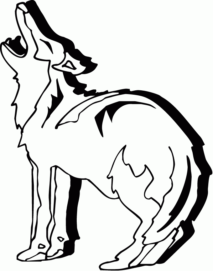 Dessin #12839 - dessin gratuit coyote à imprimer