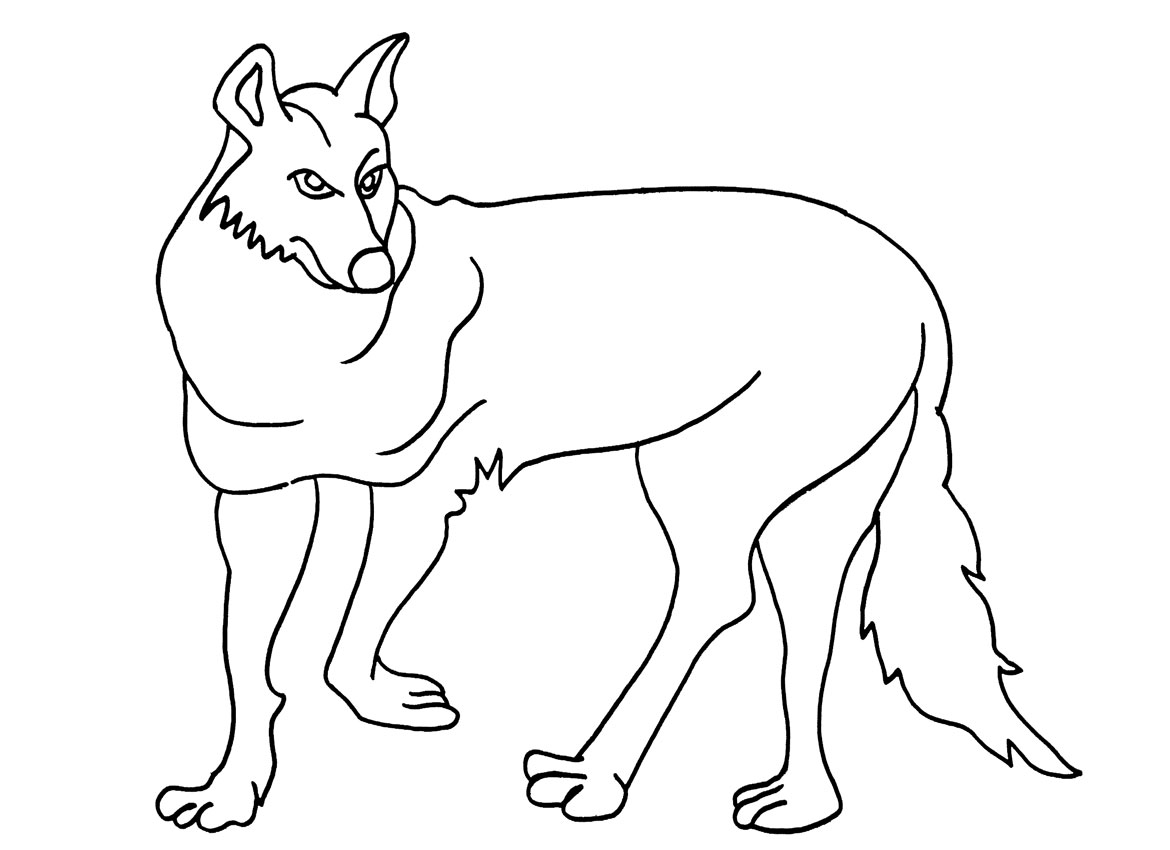 Dessin #12842 - dessin de coyote gratuit à imprimer et colorier