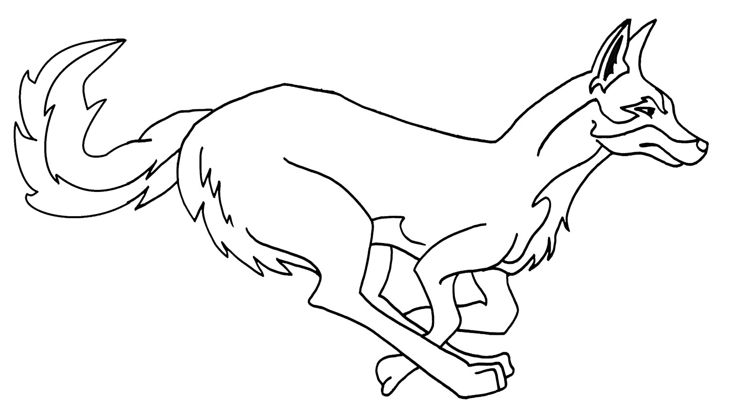 Dessin #12843 - Coloriage coyote à imprimer