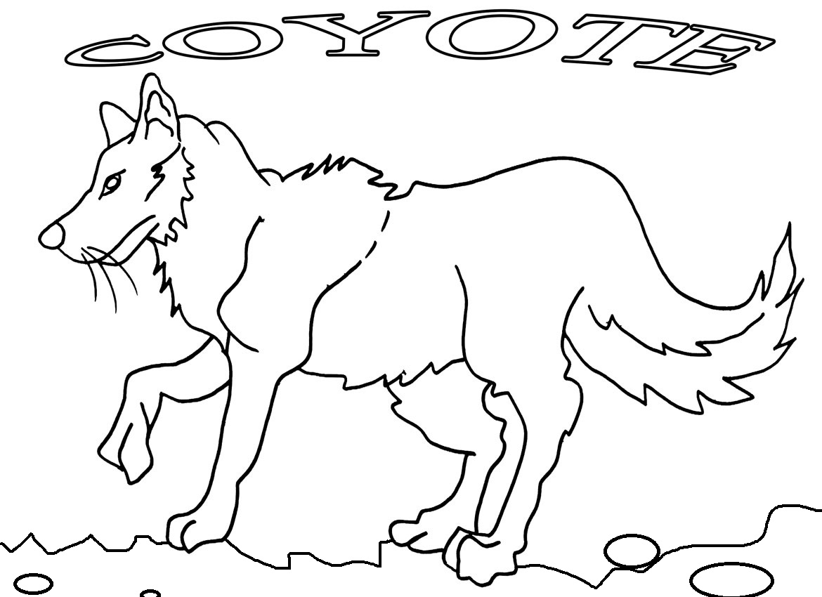Dessin #12851 - Coloriage coyote gratuit
