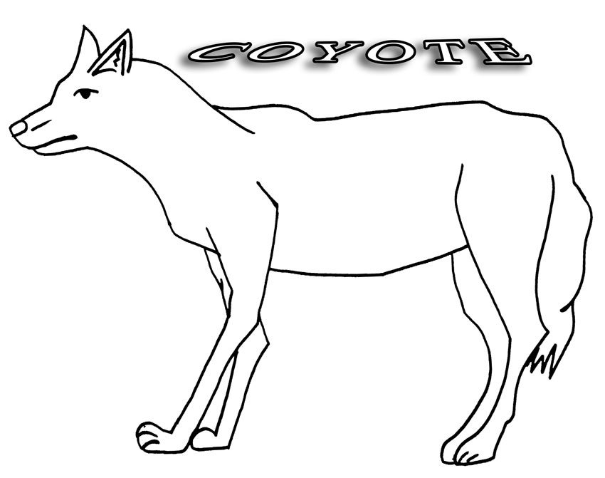 Dessin #12862 - dessin gratuit coyote a colorier