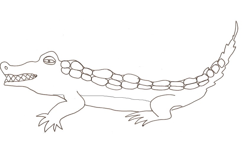 Image de crocodile a imprimer et colorier