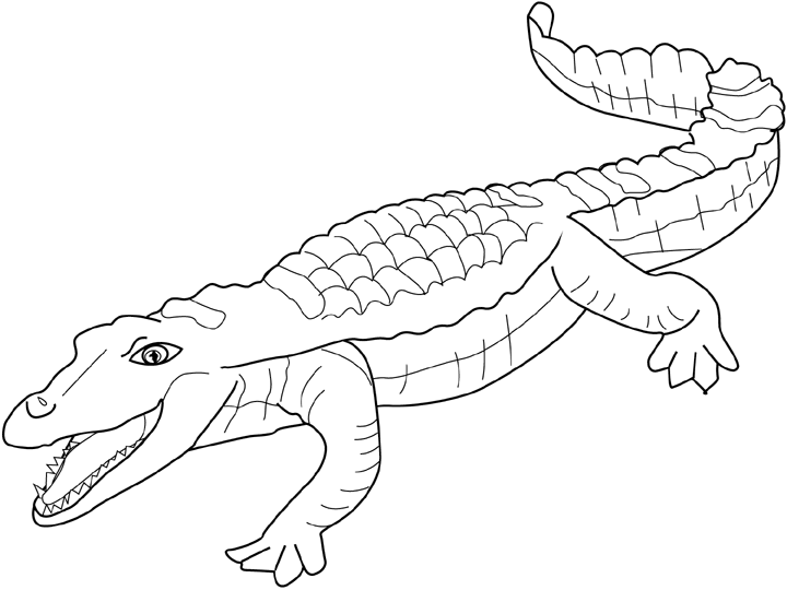 Coloriage crocodile a imprimer