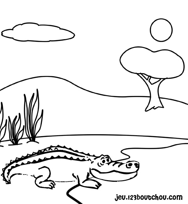 Coloriage de crocodile 