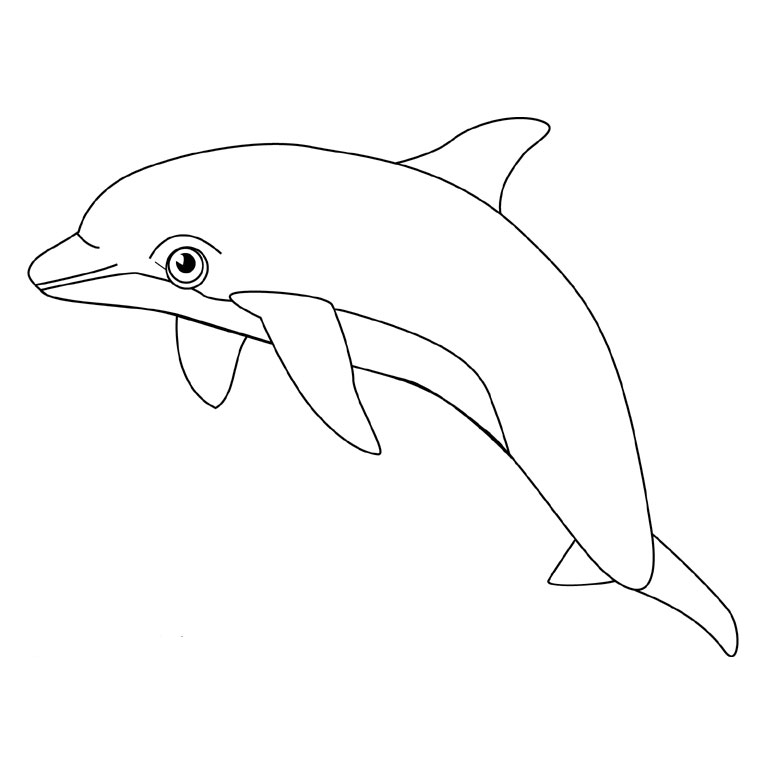 Coloriage de dauphin 