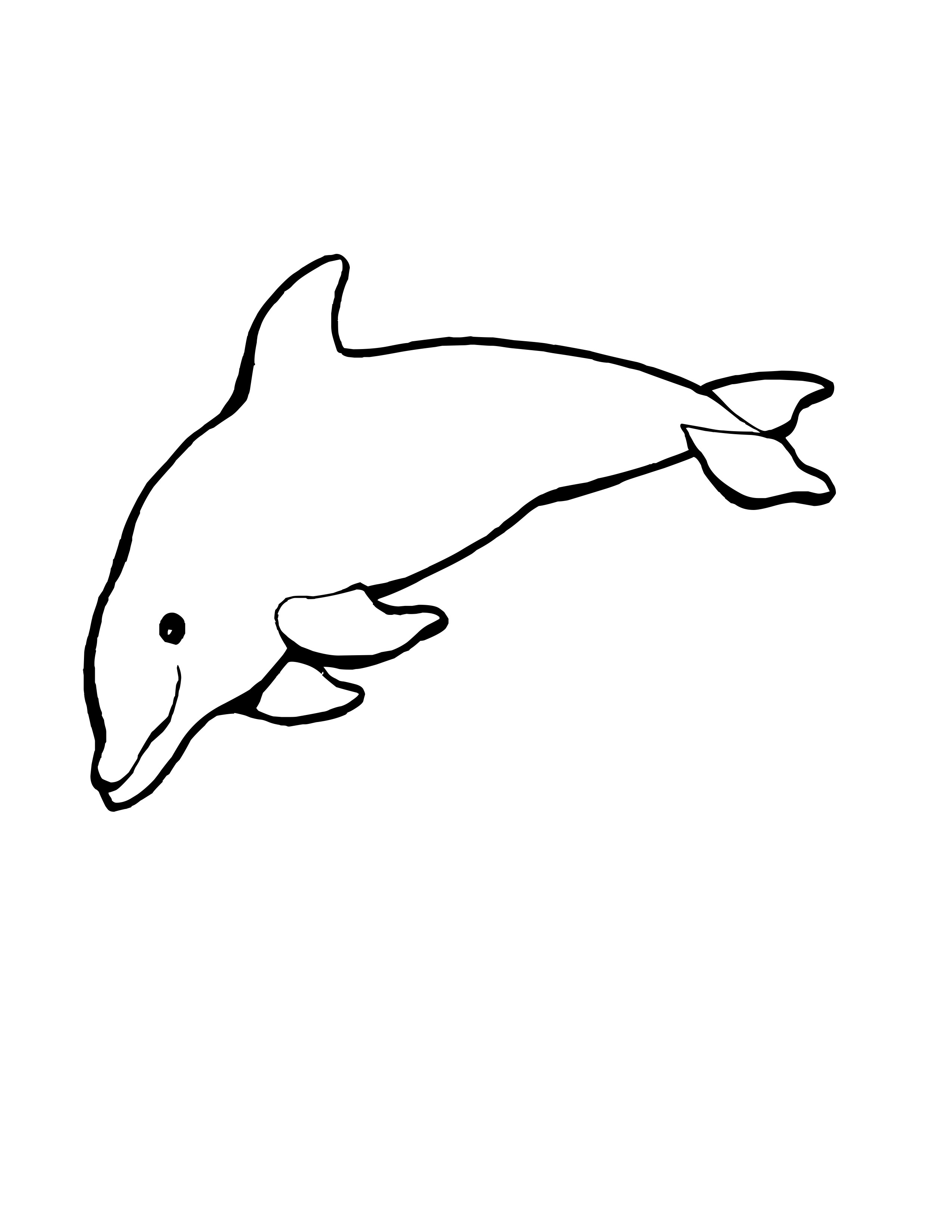 Dessin de dauphin pour imprimer et colorier
