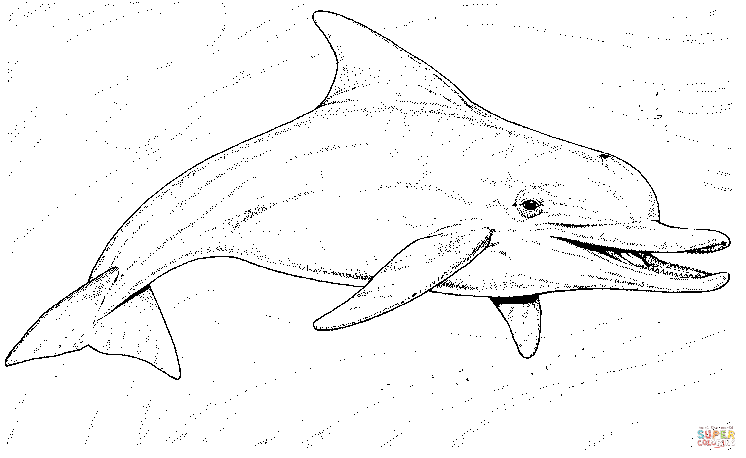 Jeux de coloriage dauphin