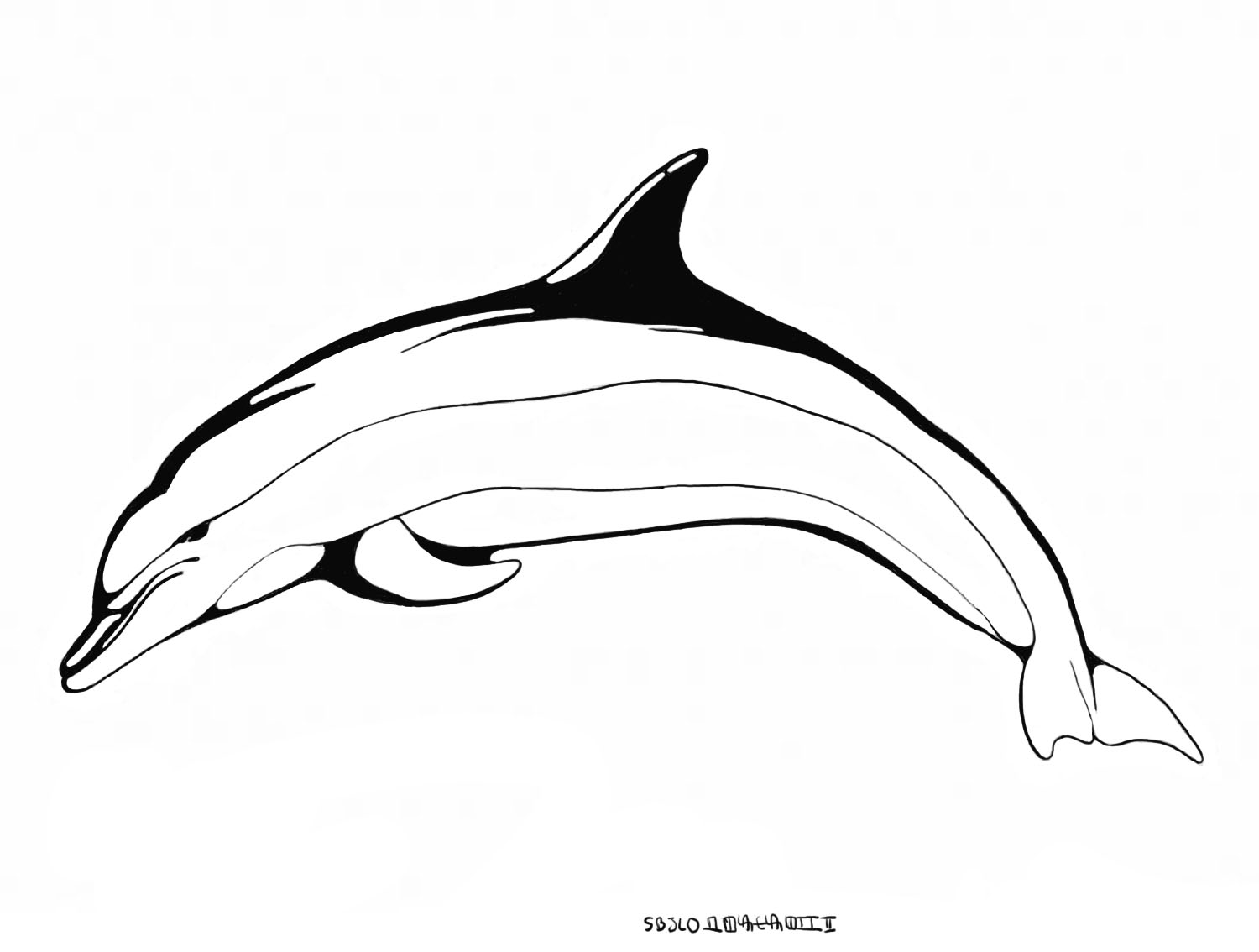 Coloriage de dauphin à imprimer